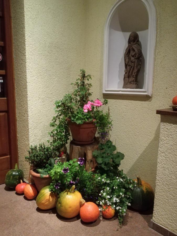Zemmer Hotel Restaurant Denis מראה חיצוני תמונה